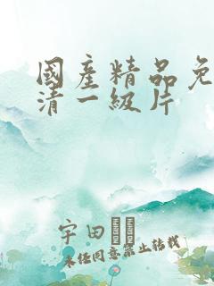 国产精品免费高清一级片