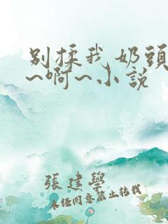 别揉我奶头~嗯~啊~小说