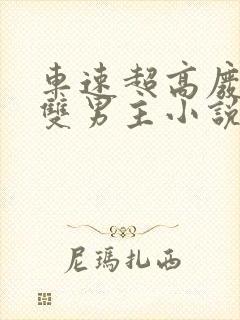 车速超高废文的双男主小说推荐免费