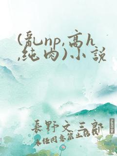 (乱np,高h,纯肉)小说