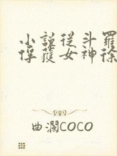 小说从斗罗开始俘获女神徐然/朱竹清最新