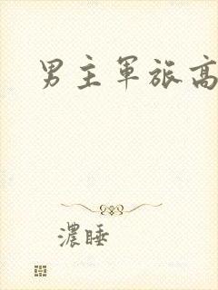 男主军旅高干文