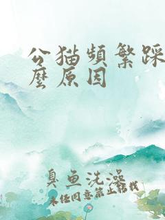 公猫频繁踩奶什么原因