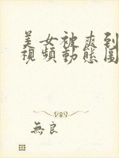 美女被爽到呻吟视频动态图