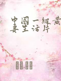 中国一级黄色夫妻生活片