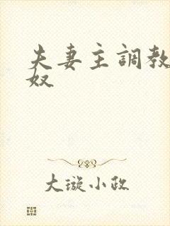 夫妻主调教夫妻奴