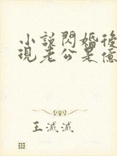 小说闪婚后,发现老公是亿万总裁免费阅读