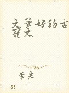 文笔好的古言甜宠文