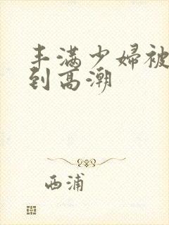 丰满少妇被躁爽到高潮