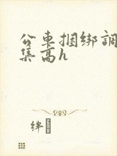 公车捆绑调教合集高h