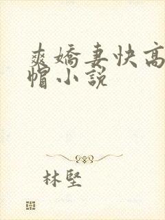 爽娇妻快高h绿帽小说