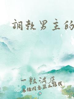 调教男主的小说