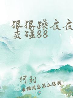 狠狠躁夜夜躁人爽碰88