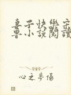 妻子快乐宋明小鲁小说阅读