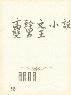 高干文小说推荐双男主