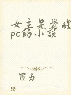 女主是觉醒的npc的小说