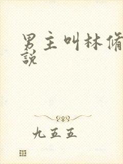 男主叫林修的小说