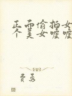 正面偷拍女厕9个美女嘘嘘