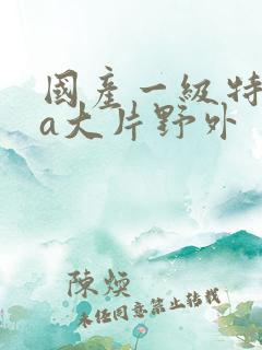 国产一级特黄aa大片野外