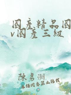 国产精品国产av国产三级