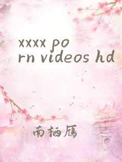 xxxx porn videos hd