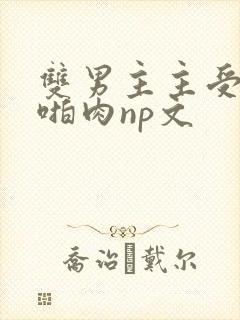 双男主主受高h啪肉np文