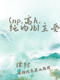 (np,高h,纯肉)bl主受