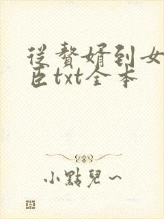 从赘婿到女帝宠臣txt全本