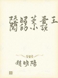 陆昭菱晋王周时阅的小说