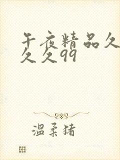 午夜精品久久久久久99