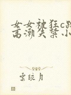 女女被狂c躁到高潮失禁小说