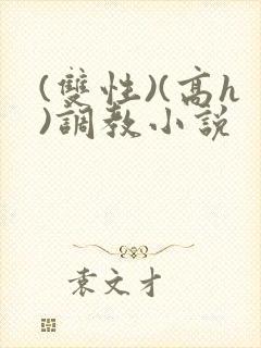 (双性)(高h)调教小说