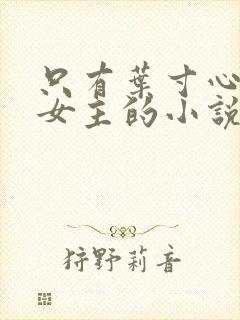 只有叶寸心一个女主的小说