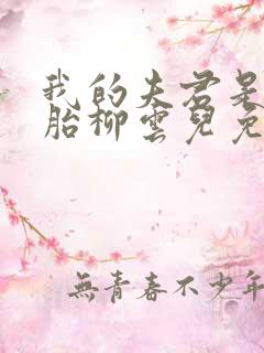 我的夫君是双胞胎柳云儿免费阅读