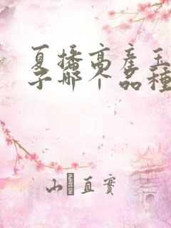 夏播高产玉米种子哪个品种好