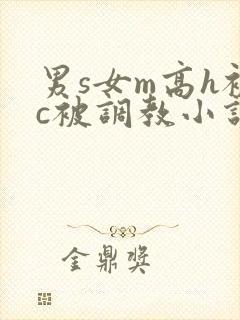 男s女m高h被c被调教小说