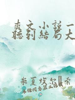 爽文小说一口气听到结局大女主