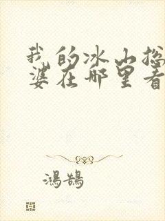 我的冰山总裁老婆在哪里看小说