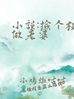 小说:捡个校花做老婆