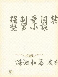 强制爱囚禁调教双男小说