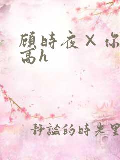 顾时夜×你车肉高h