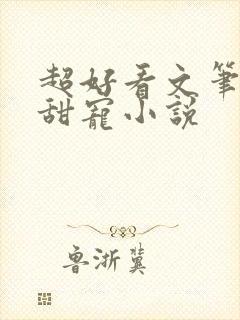 超好看文笔好的甜宠小说