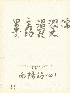 男主温润儒雅矜贵的宠文