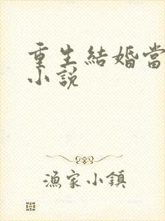 重生结婚当天的小说
