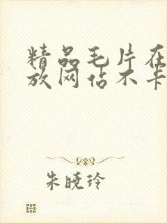 精品毛片在线播放网站不卡