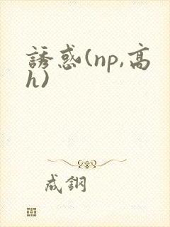 诱惑(np,高h)