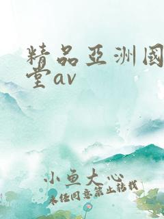 精品亚洲国产天堂av