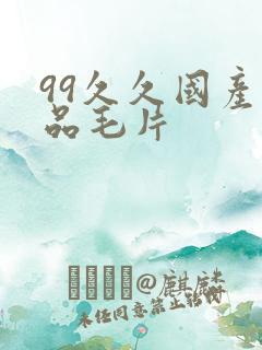 99久久国产精品毛片