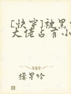 [快穿]被黑化大佬占有小说