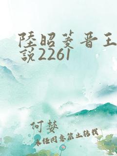 陆昭菱晋王的小说2261